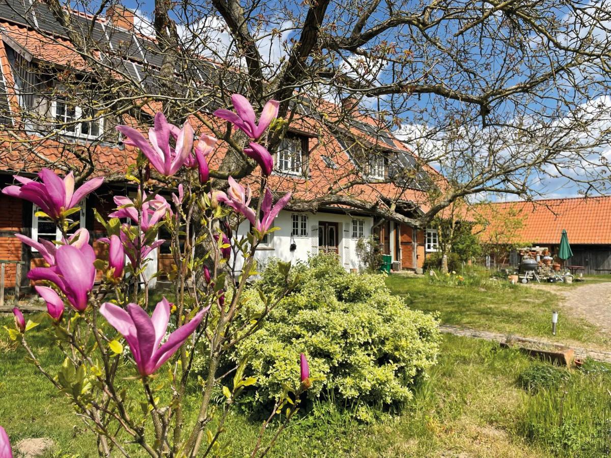 Ferienhof Rauchhaus Karft Dış mekan fotoğraf
