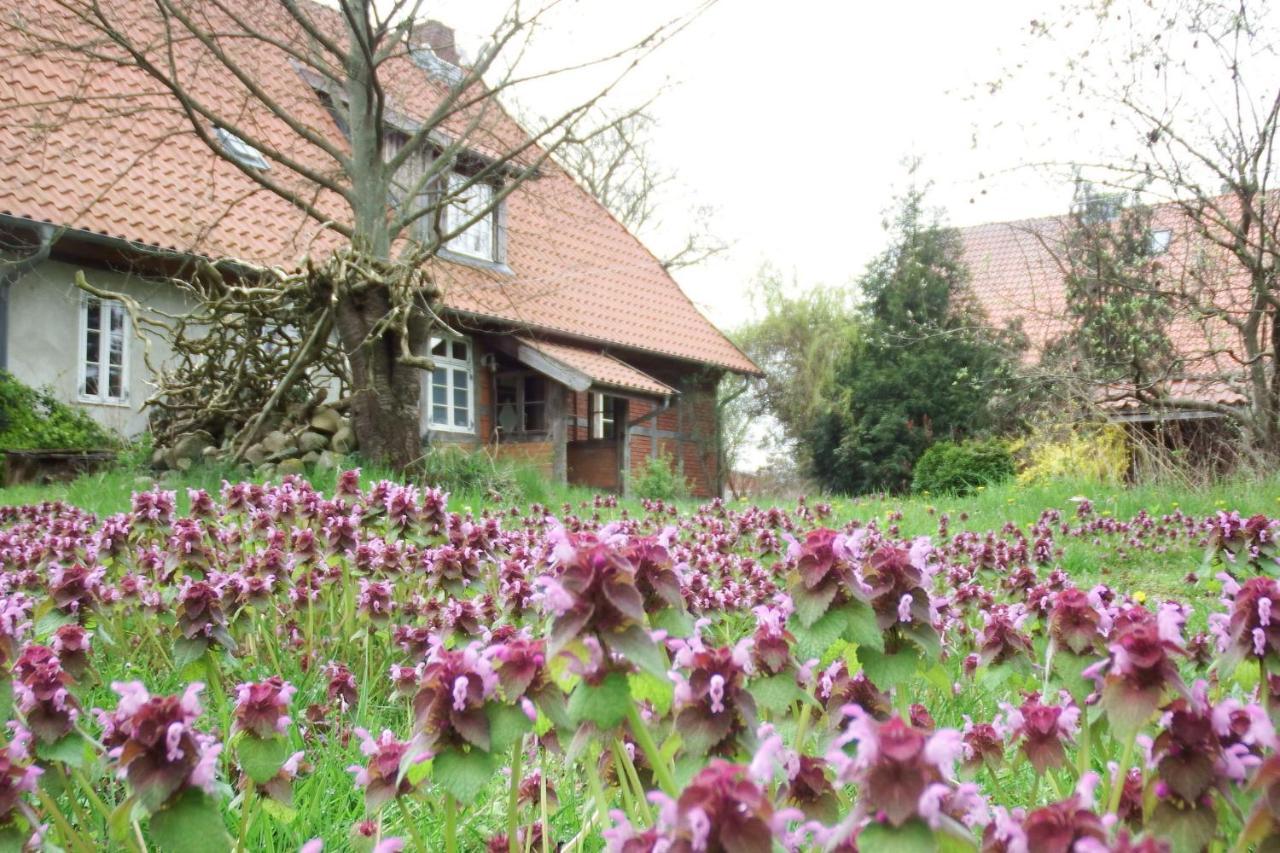 Ferienhof Rauchhaus Karft Dış mekan fotoğraf